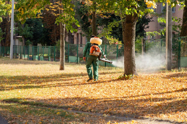 Best Mosquito Control Services  in Munday, TX