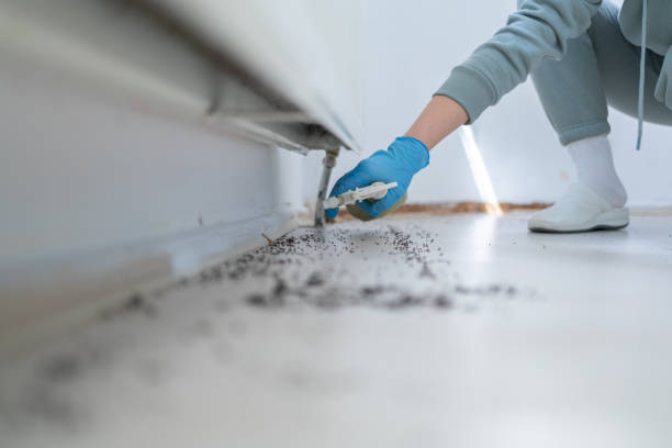 Best Best Pest Control Companies  in Munday, TX